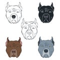 Pit Bull Terrier. Vector set of dog`s face. Hand-drawn vector illustration on a white background. Sketch, five isolated variants. Royalty Free Stock Photo