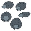 Vector set of porcupine