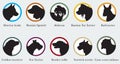 Vector set of portraits silhouettes of dog breeds Royalty Free Stock Photo