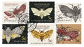 Set of postage stamps with butterfly Dead head