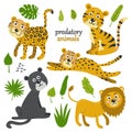 Vector set of predatory animals and plants