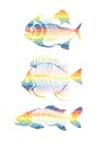 Vector set with rainbow fish skeleton isolated on a white background.