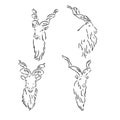 vector set of rams, male of sheep, hand drawn sketch of animals isolated at white background Royalty Free Stock Photo