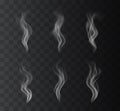 Vector set of realistic smoke or steam effects on dark background Royalty Free Stock Photo