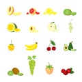 Vector set of realistic, various, fresh fruits and berries in color, isolated Royalty Free Stock Photo