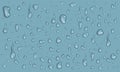 Vector set of realistic water drops and splash different sizes mockup for background, condensation of rain, banner for design Royalty Free Stock Photo