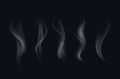 Vector Set of Realistic White Transparent Cigarette Smoke Waves Isolated Royalty Free Stock Photo