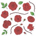 Vector set of red rose flowers with buds, leaves and thorny stems contours isolated on the white background. Hand drawn floral Royalty Free Stock Photo