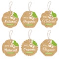 Vector set of retro organic cardboard labels and tags with ropes for design