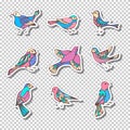 Vector set of retro sticky labels with birds.