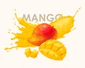 Vector set of ripe mango and its slices Royalty Free Stock Photo