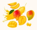 Vector set of ripe mango and its slices Royalty Free Stock Photo
