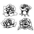 Design line art roses vector