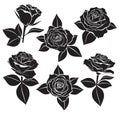 Vector set of Rose buds, stems and leaves with white contour line and silhouettes in black color. Vector illustration for design a