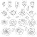 Vector set of roses. Black hand-drawn flowers isolated on white background. Can use for wedding invitations Royalty Free Stock Photo
