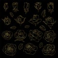 Vector set of roses. Golden hand-drawn flowers cutout on black background Royalty Free Stock Photo