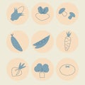 Vector set of round vegetables