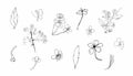 Vector set sakura clipart. Black spring illustration flowers line art Royalty Free Stock Photo