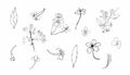 Vector set sakura clipart. Black spring illustration flowers line art Royalty Free Stock Photo