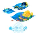 Vector set of sea animals and seaweeds.