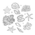 Vector set sea shells stars corals and pearls different shapes. Clamshells starfishes polyps monochrome black outline