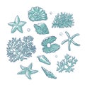 Vector set sea shells stars corals and pearls different shapes. Clamshells starfishes polyps monochrome outline sketch Royalty Free Stock Photo