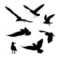 Vector set of seagulls silhouettes Royalty Free Stock Photo