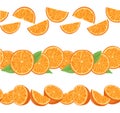 Vector set of seamless borders with orange slices and leaves. Collcetion of horizontal friezes with juicy fruit and foliage