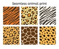 Vector set of seamless pattern of animal fur print Royalty Free Stock Photo