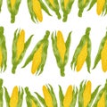 Vector set of seamless patterns with wonderful colorful corn, hand-drawn in graphic and real-style at the same time