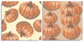 Vector set of seamless patterns with wonderful colorful pumpkin maxima, hand-drawn in graphic and real-style at the same