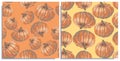 Vector set of seamless patterns with wonderful colorful pumpkin maxima, hand-drawn in graphic and real-style at the same