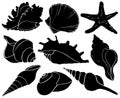 Set with seashells and starfish silhouettes, sea mollusk collection Royalty Free Stock Photo