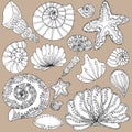 vector set seashells and stars Royalty Free Stock Photo