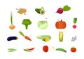 Vector set of seasonal farm vegetables.