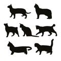 Vector set seven black cats silhouettes. playing cats Royalty Free Stock Photo