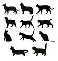 Vector set seven black cats silhouettes. playing cats Royalty Free Stock Photo