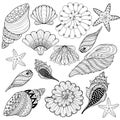 Vector set Shells, zentangle seashells for adult anti stress Col