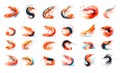 Vector set of Shrimps collection hand drawing on a white background. Seafood watercolor seafood illustration. Prawns set Royalty Free Stock Photo