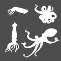 Vector Set of Silhouette Cephalopod Illustrations. Octopus, Cuttle and Squid