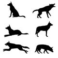 Vector Set of Silhouette German Shepherd Dogs Royalty Free Stock Photo