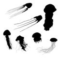 Vector Set of Silhouette Jellyfishes