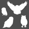 Vector Set of Silhouette Owl Illustrations. Different Types of Owl Royalty Free Stock Photo