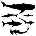 Vector Set of Silhouette Sharks