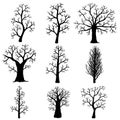 Set of silhouettes of bare autumn tree on white background.