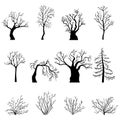 Vector Set of Silhouettes of Bare Trees and Bushes