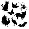 Vector set silhouettes cat, bird, spider butterfly, dog peacock, bat. Royalty Free Stock Photo