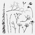 Vector set of silhouettes of flowers and grass on background. Royalty Free Stock Photo