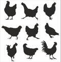 Vector set of silhouettes of hens and roosters in various poses.