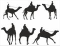 Vector set of silhouettes of single humped camels with riders, Bedouins. Shadows Large mammal animal.